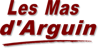 MasArguinlogo